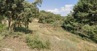 Propriété  Acacias. Suelo hontoba
