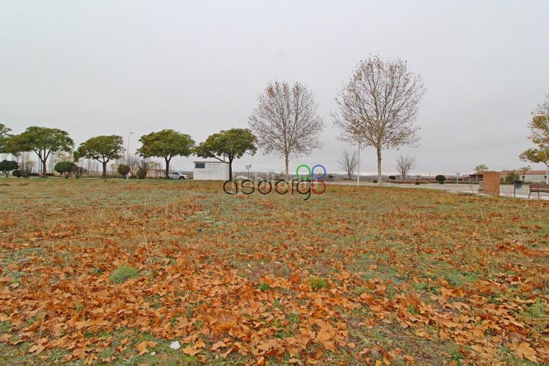 Foto 6b196d12-f790-4e9c-afda-e0c67257005f. Propriété dans Yunquera de Henares