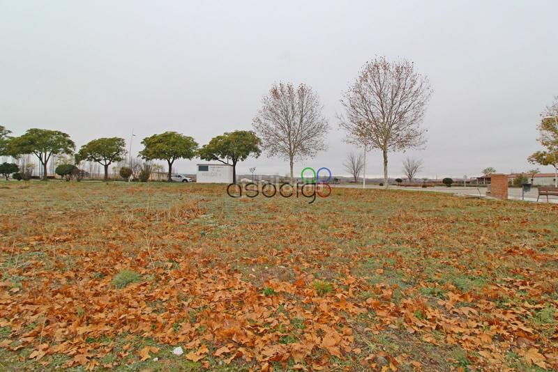 Foto 6543823d-88ee-4b16-89e7-fe537f72dbc5. Propriété dans Yunquera de Henares