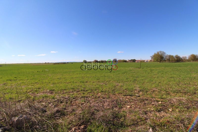 Foto 8767b6cc-bdd4-4924-9570-6568c33d6a3b. Finca rústica a Pioz