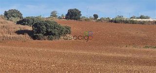 Finca rústica  515. San isidro