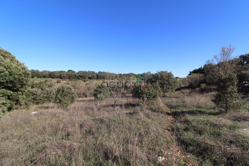 Foto 6721f0a5-0fd1-4fd1-b0d5-99d899528e19. Finca rústica en Pioz