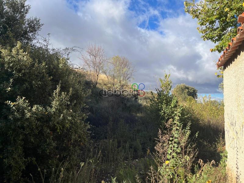 Foto 477b49b3-0ced-419d-a212-8159d0eb57ca. Finca rústica a robles 338 a El Clavín-Valdeluz Guadalajara