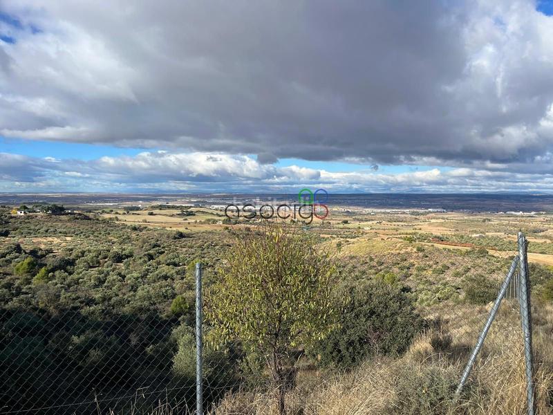 Foto a4cdf980-12f9-4039-b282-f8e3511f4a39. Finca rústica a robles 338 a El Clavín-Valdeluz Guadalajara
