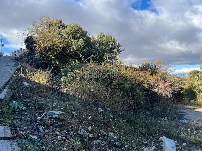 Foto e552a963-6fc1-4318-a055-0d51ffba3f95. Finca rústica a robles 338 a El Clavín-Valdeluz Guadalajara