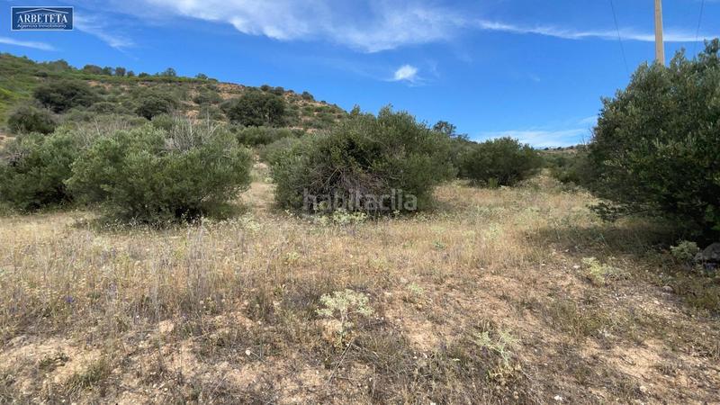 Foto ca752fac-819c-4101-b76d-d80a0b5df4dc. Finca rústica a Brihuega