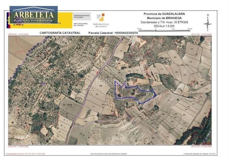 Foto e1240039-412b-4772-a7ae-62275d78be1a. Finca rústica a Brihuega