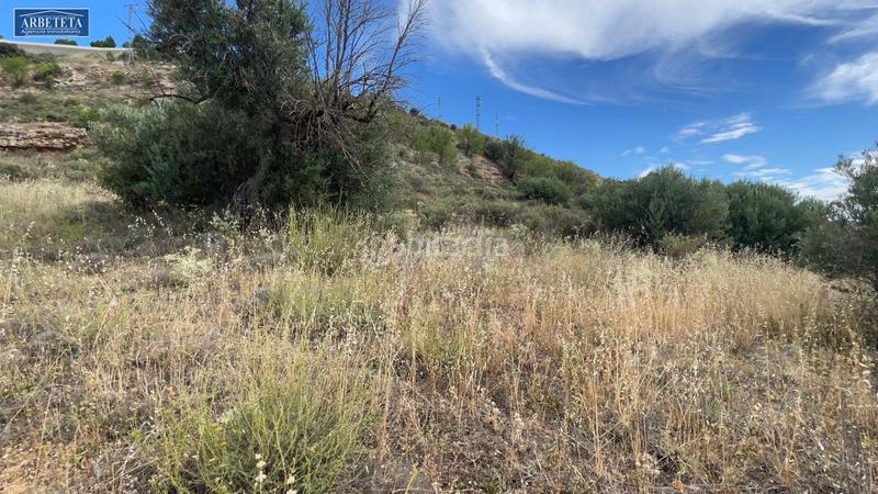 Foto 3e5e9765-f305-4ed9-9795-f0ab587de36c. Finca rústica a Brihuega