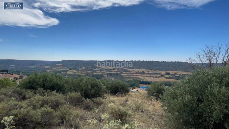 Foto ac81081a-d645-48c7-9592-f1e6d672eb07. Finca rústica a Brihuega