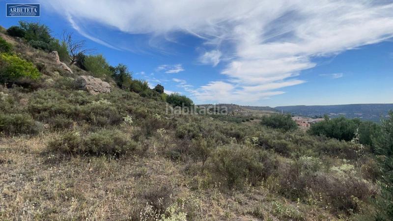 Foto d176ef1c-ed3f-4a80-b2d0-22caadec6376. Finca rústica a Brihuega