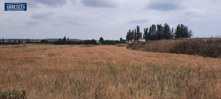 Terreny residencial a Humanes. Inmobiliaria arbeteta pone en venta terreno urbanizable en human