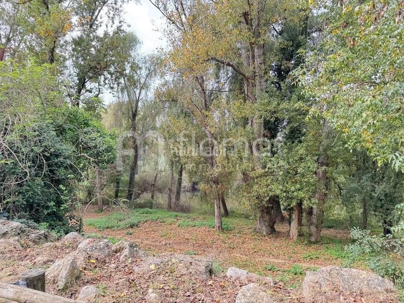 Foto 02cae852-4a7a-40c2-97ce-5c163c1b4ff7. Flat in Pont Major - Pedret - Campdorà Girona