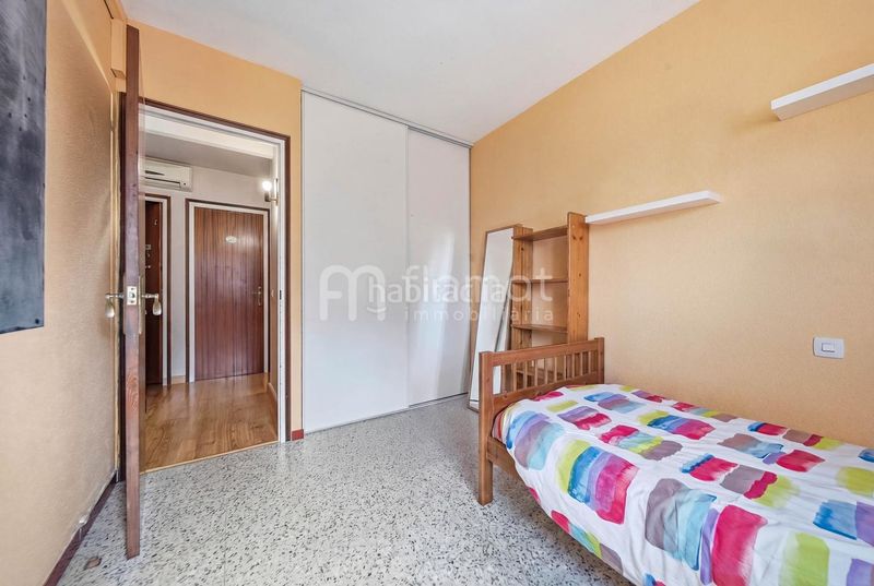 Foto 5dd8ebed-80cc-4e0c-a0d2-8a65b04e26e2. Pis a Parc Bosc-Castell Figueres