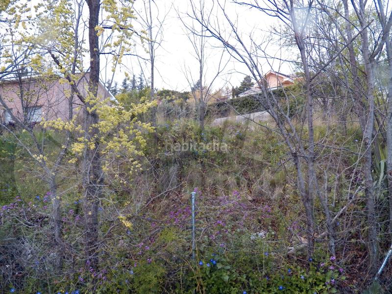 Foto 4286008b-dad2-419f-bf98-82d22d688f52. Terreno residenziale in Miraflores de la Sierra