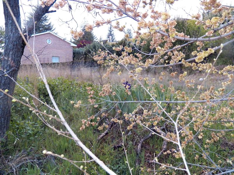 Foto 6e6eaa4a-905e-4abc-bc6e-f084df3f16d4. Terreno residenziale in Miraflores de la Sierra