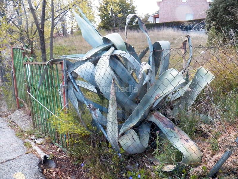 Foto fbca0175-4abf-4c40-81d2-94d5563da1a6. Terreno residenziale in Miraflores de la Sierra