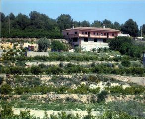 Mas à Alcora (l´). Finca rústica. 35 hanegadas130,000 metros aproximados, 2 lagos d