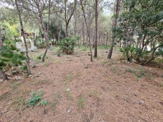 Terreny residencial a Montornés-Las Palmas-El Refugio. Parcela en urbanizacion montornes