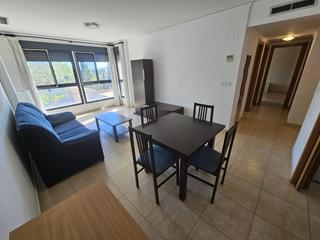Pis  Plaza l'alacanti (de). Espaciosa vivienda en castelln de la plana