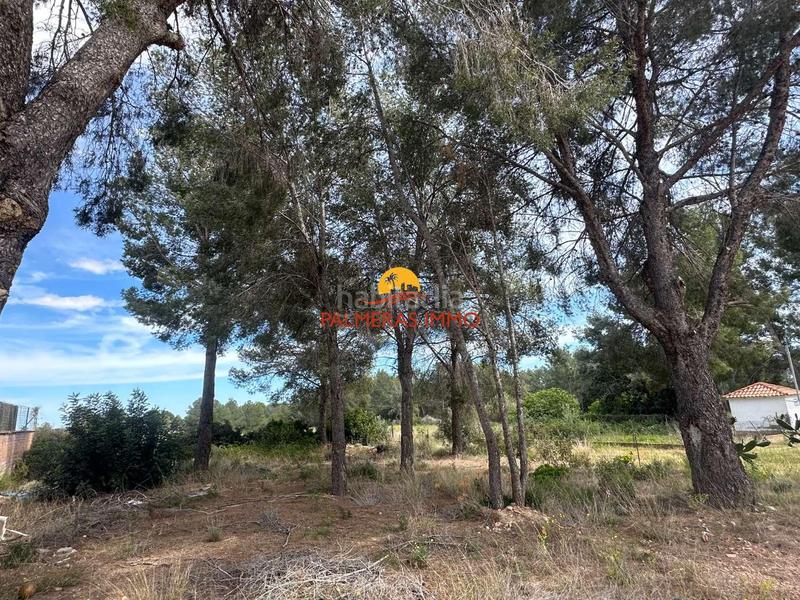 Foto 2954fac0-69d7-41d5-ba84-15f74c09a54d. Terreny residencial a Poble Mont-roig del Camp