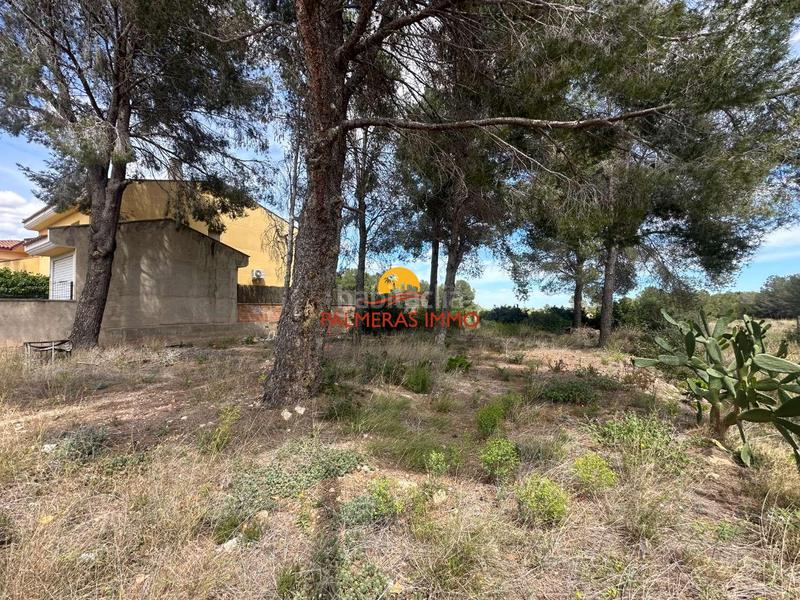 Foto 460c33c5-3538-4e10-9d64-327c5205027d. Wohngrundstück in Poble Mont-roig del Camp