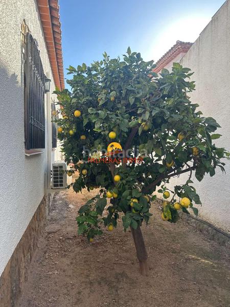 Foto e19751c8-527f-405f-9d40-ff52258feaa9. Xalet amb aparcament piscina a Centre Miami Platja