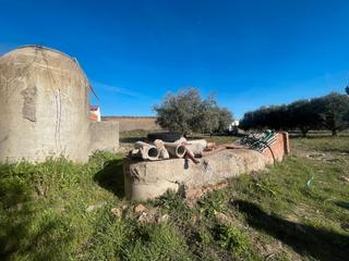 Rural plot  Camino torre