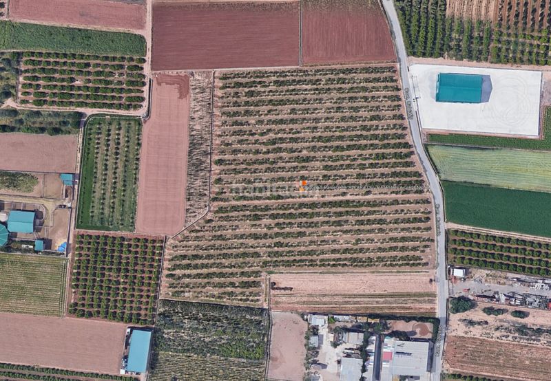 Foto cc705b9a-2f4d-4901-8be6-b2777f3d8d40. Finca rústica a Benifaraig Valencia