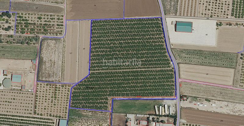 Foto cf2e1907-a87d-487f-b179-cdfa76857d3f. Finca rústica a Benifaraig Valencia