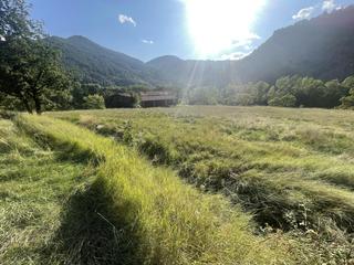 Propriété  0. Finca de 10 ha. con 2 casas, a 5 m de la ctra. n260