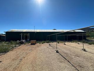 Finca rústica a Pedreguer. Gran terreno de 6700m2 en pedreguer totalmente vallado.