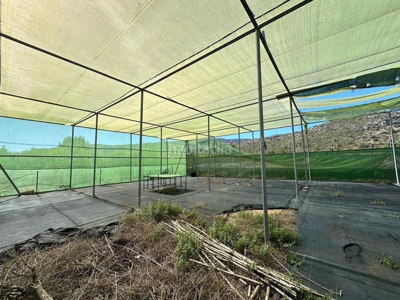 Foto b5f12755-bd3c-49e5-8d85-32335f012d2e. Finca rústica gran terreno de 6700m2 totalmente vallado. en Pedreguer