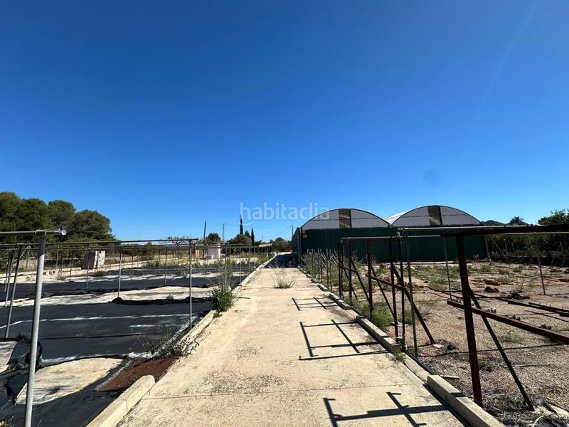 Foto e934fdb2-1dee-4069-9f95-b52ad9308bd1. Finca rústica gran terreno de 6700m2 totalmente vallado. en Pedreguer