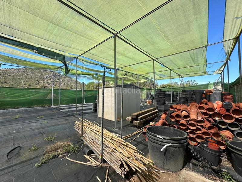 Foto ff29ea00-a2da-424c-828e-1a26f5a7c206. Finca rústica gran terreno de 6700m2 totalmente vallado. en Pedreguer