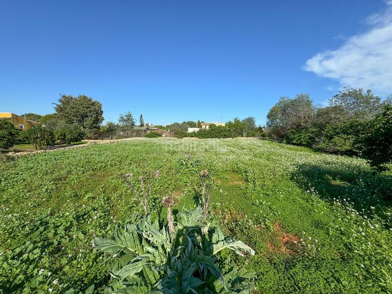 Foto a0cbefc0-2200-402b-8fdc-5557575c5dd7. Terreno residenziale in La Xara-La Sella Dénia