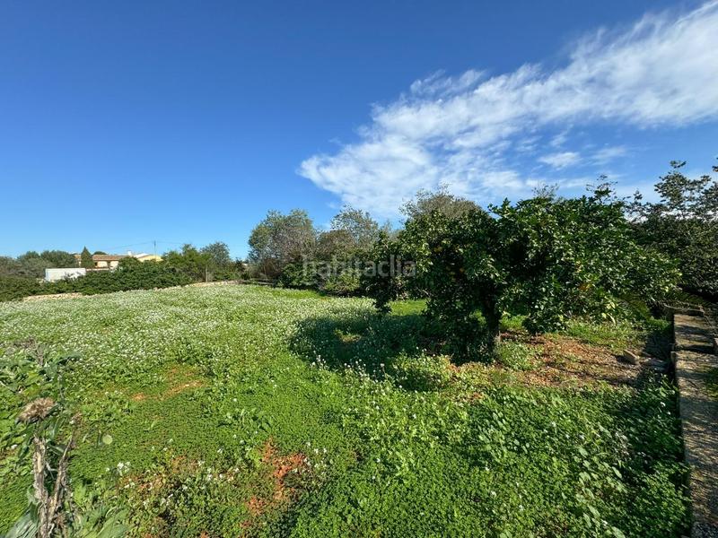 Foto b0260bce-f074-4e29-a041-874088f50f7d. Terreno residenziale in La Xara-La Sella Dénia