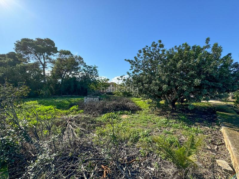 Foto b9d71aae-cc4e-4200-a859-28dc57347aa3. Terreno residenziale in La Xara-La Sella Dénia