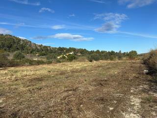 Residential Plot in Jesús Pobre