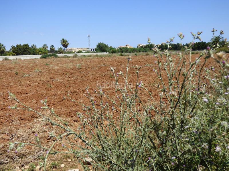 Foto 1427e739-f4a5-4485-bb4b-32ba69e2ce35. Terreno residenziale in La Pedrera-Vessanes Dénia