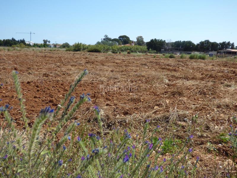 Foto 8dc1f162-e68e-43fc-ba68-4e3138c72c95. Terreno residenziale in La Pedrera-Vessanes Dénia