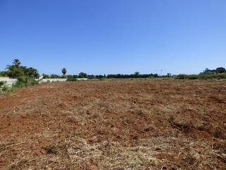Terreny residencial a La Pedrera-Vessanes. Se vende parcela rustica en denia de 8575m2 cerca del mar.