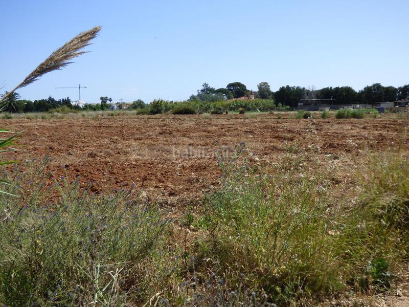 Foto a9485ea2-02f4-48b6-817d-4074b32b2570. Terreno residenziale in La Pedrera-Vessanes Dénia
