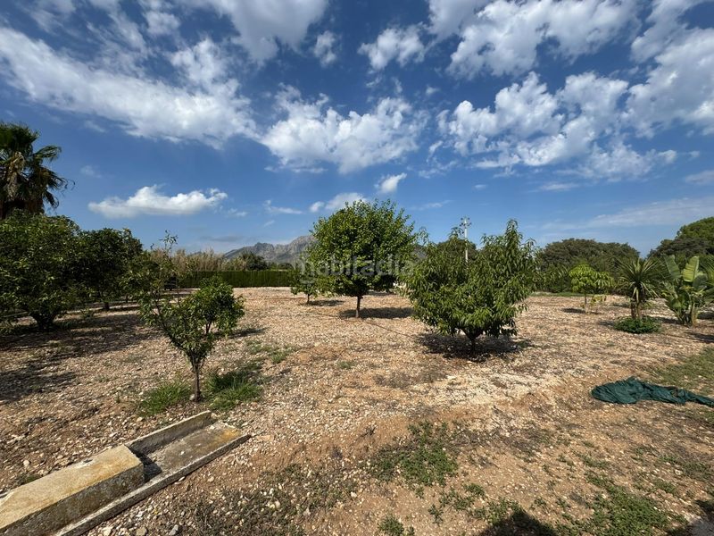 Foto 05306d36-892c-4b38-afea-98c1a73f6643. Alquiler chalet alquiler anual de villa señorial con gran parcela, piscina y jardines en Ondara