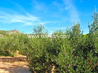 Terreno residencial en Montornés-Las Palmas-El Refugio