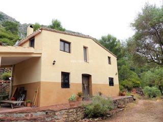 Casa en Cabanes. Masa en el corazn del desierto de las palmas.