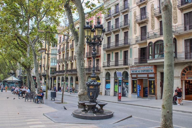 Foto 91d932ec-2005-4c78-9be7-63a2c5129e5e. Local comercial en Raval Barcelona