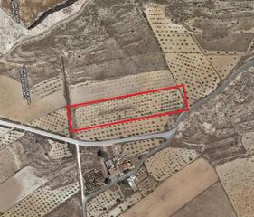 Terreno residenziale in Pinoso