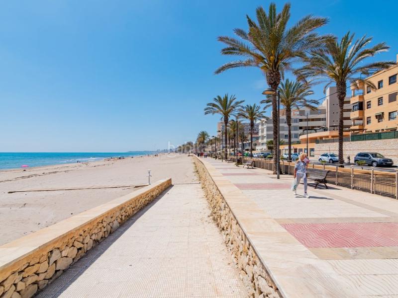 Foto 0e68f8df-d60c-47e0-b7ad-35a565e8ee3c. Terreno residenziale in calle benimantell 20 in Pueblo Acantilado-Lanuza Campello (el)