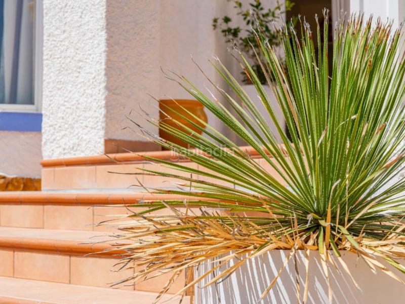 Foto b5c260d7-aaad-4c0f-a188-6cb881bc4ba6. Casa a calle torrevella 21 a Pueblo Acantilado-Lanuza Campello (el)