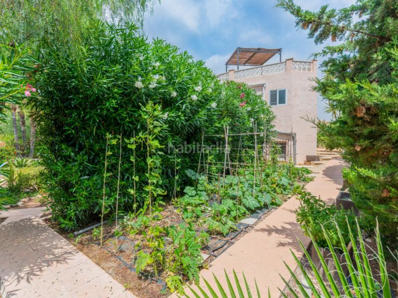 Foto 1c1ea7eb-2724-4062-b289-ec7eafa0dac1. Local comercial impresionante complejo vacacional en venta en Sant Vicent del Raspeig